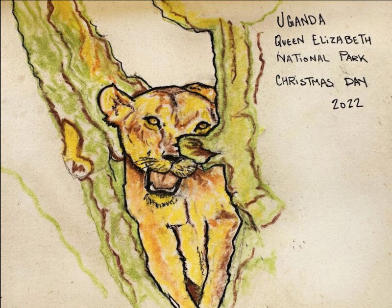 Sketch of a lion, Queen Elizabeth National Park, Uganda, 2022
